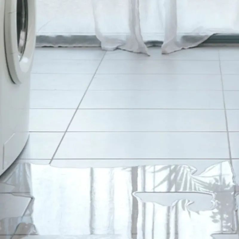 Appliance Leak Cleanup in Fairhope, AL